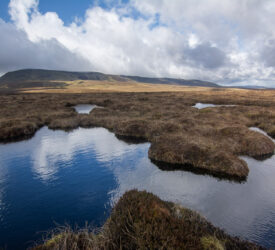 DAERA outlines delivery plan for NI’s first peatland strategy