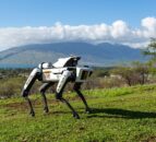 High tech robotic dogs guarding valuable corn crops