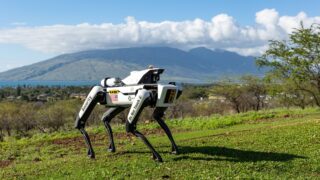 High tech robotic dogs guarding valuable corn crops