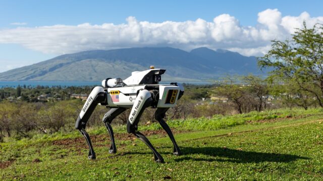 High tech robotic dogs guarding valuable corn crops