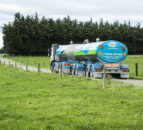 Fonterra and Greenpeace settle dispute over butter label