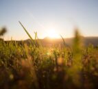 35% of Europe saw ‘extreme’ agricultural drought in May 2025 – report