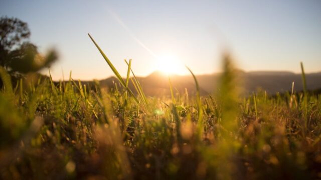 35% of Europe saw ‘extreme’ agricultural drought in May 2025 – report
