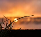 Analysis: March was second warmest on record in Europe