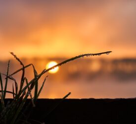 Analysis: March was second warmest on record in Europe