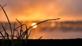 Analysis: March was second warmest on record in Europe