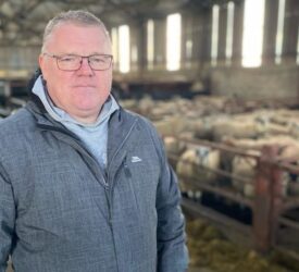 NI Assembly motion on producing biomethane from farm wastes welcomed