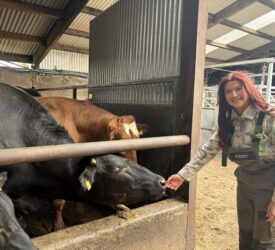 ‘For me, farming isn’t just an industry – it’s a community’
