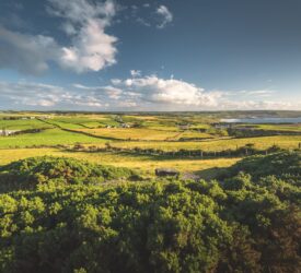 Annual report on NI rural needs monitoring published