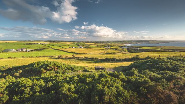 Annual report on NI rural needs monitoring published