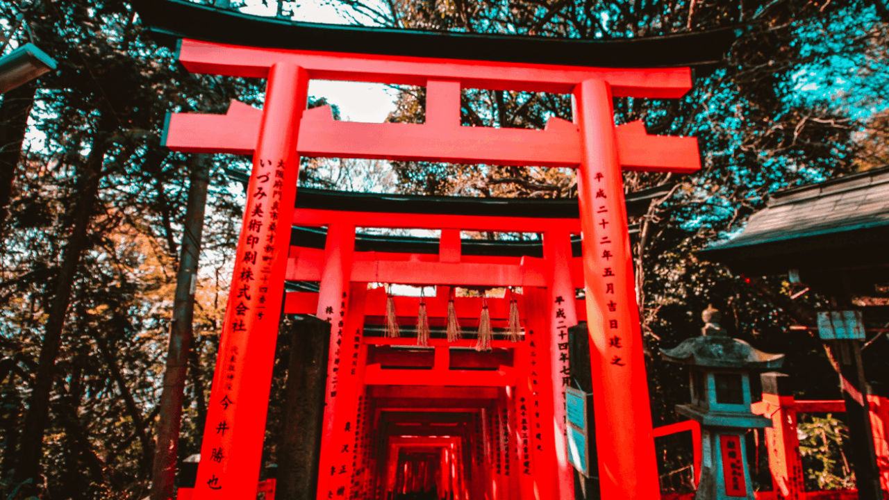 UK organic livestock products now open to Japanese market