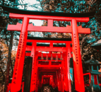 UK organic livestock products now open to Japanese market