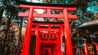 UK organic livestock products now open to Japanese market