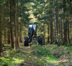 How is the NI forestry development project faring at midpoint?