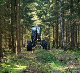 How is the NI forestry development project faring at midpoint?