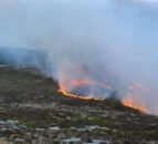 Over 90 NI firefighters tackle fires on Mourne Mountains