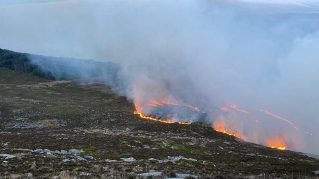 Over 90 NI firefighters tackle fires on Mourne Mountains