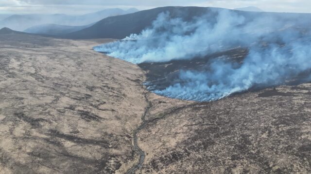 50 firefighters remain at site of Mourne Mountains fire