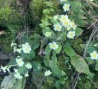 Opinion: Is a spell of more normal weather on the way?