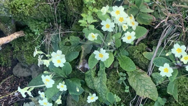 Opinion: Is a spell of more normal weather on the way?