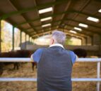 New NI employment bill ‘would hit agri-food sector hard’ – UFU