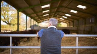 New NI employment bill ‘would hit agri-food sector hard’ – UFU