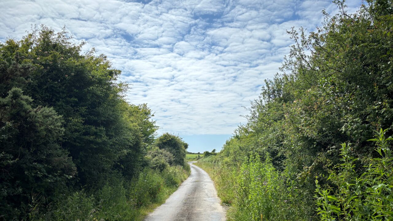 Call for ‘more robust’ response to illegal dumping