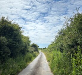 Call for ‘more robust’ response to illegal dumping