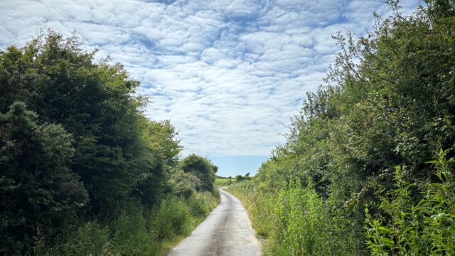 Call for ‘more robust’ response to illegal dumping