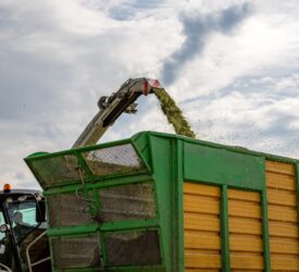 NI farmers urged to prioritise safety as silage season approaches