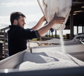 Yara sees 41% year-on-year jump in Q1 earnings despite global fertiliser shock