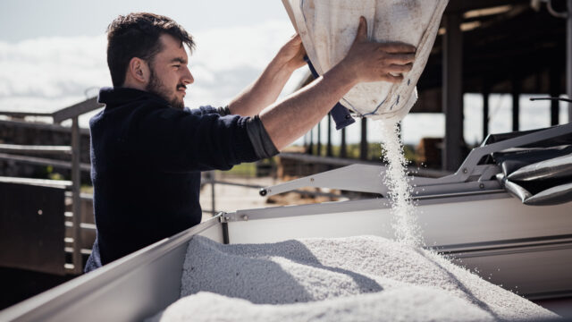 Yara sees 41% year-on-year jump in Q1 earnings despite global fertiliser shock