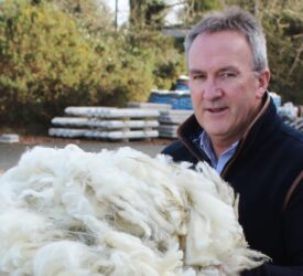 Ulster Wool sees prices reach highest level in a decade