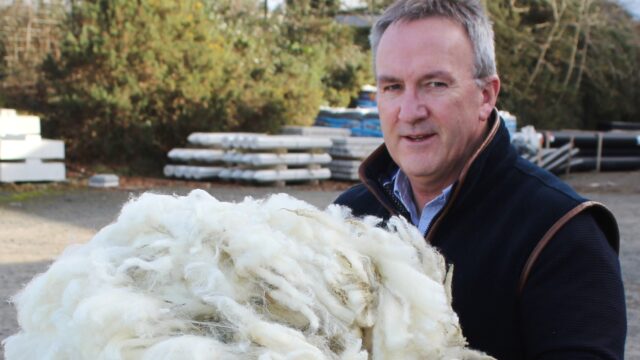 Ulster Wool sees prices reach highest level in a decade
