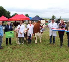 Bluetongue vaccination will not be required for Newry Show 2026