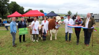 Bluetongue vaccination will not be required for Newry Show 2026