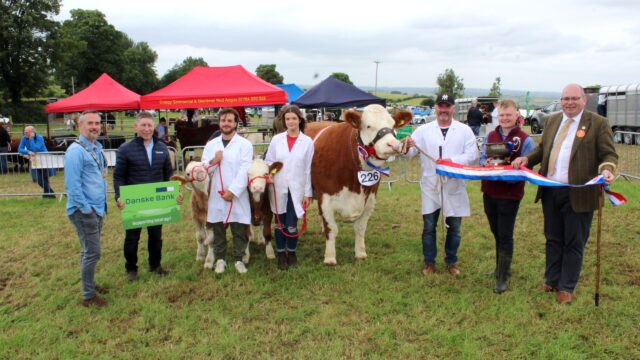 Bluetongue vaccination will not be required for Newry Show 2026