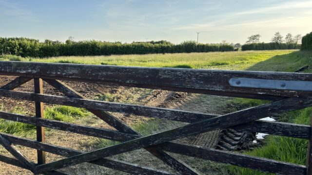 NI agriculture ‘15% financially worse off’ than a year ago – FFA