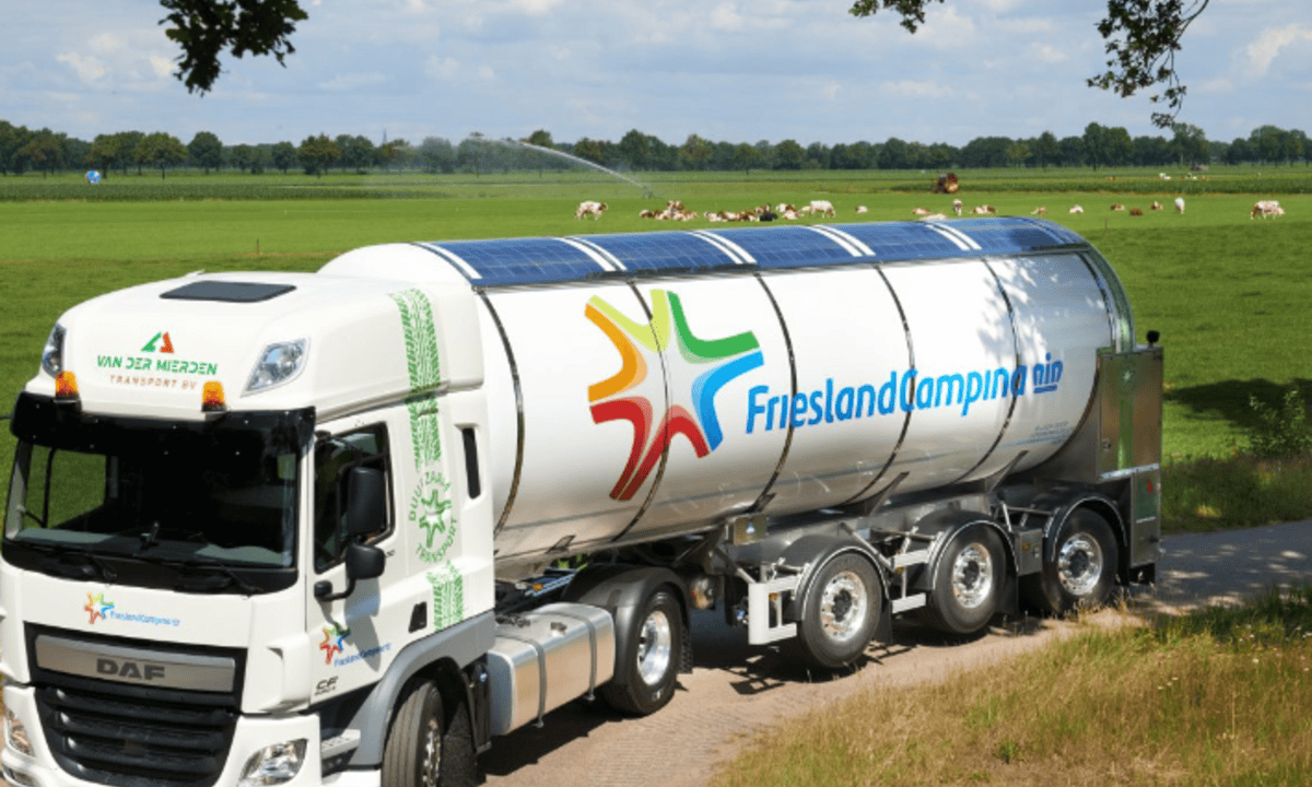 FrieslandCampina announces €90 million whey protein investment