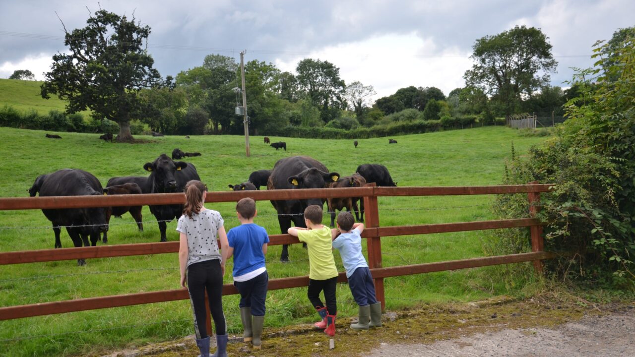 The simple steps to protect children on farms this summer – HSENI