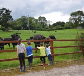 The simple steps to protect children on farms this summer – HSENI