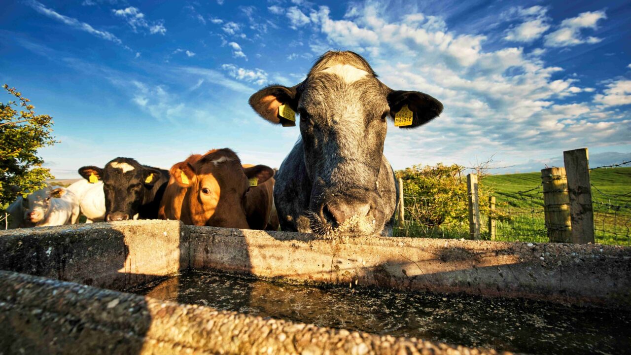 NI farmers reminded to check for leaks to stop money ‘going down the drain’