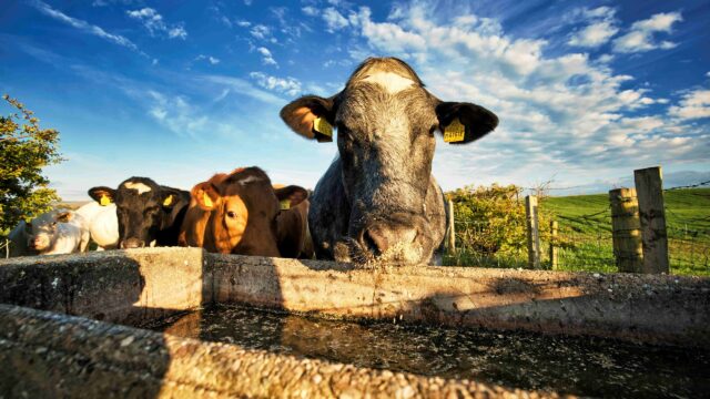NI farmers reminded to check for leaks to stop money ‘going down the drain’