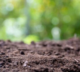 Final phase of NI Soil Nutrient Health Scheme to open this summer