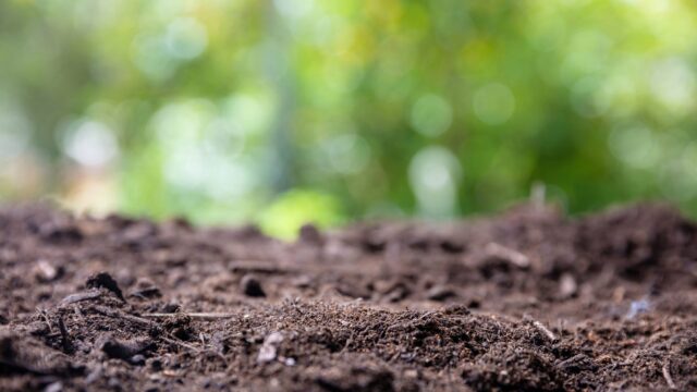Final phase of NI Soil Nutrient Health Scheme to open this summer