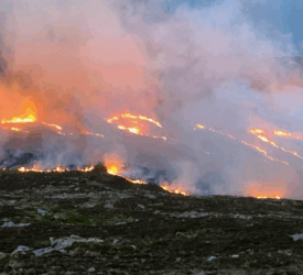 NI firefighters  working around the clock to ‘protect homes, land and lives’