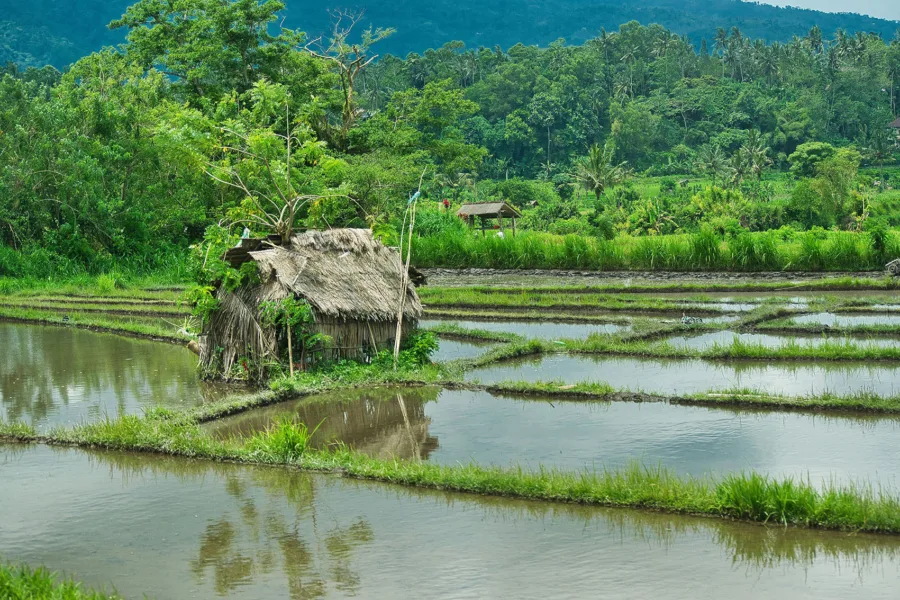 Climate finance report — MercyCorps