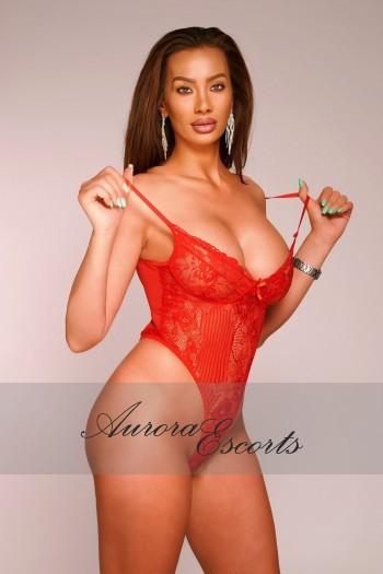 Sandra, escort in London from Aurora London Escorts.