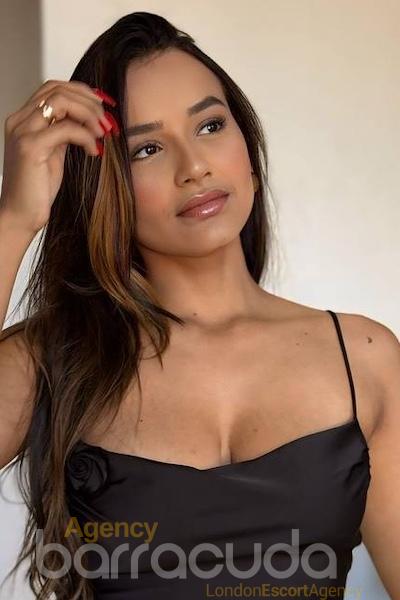 Flavia, escort in London from Agency Barracuda.