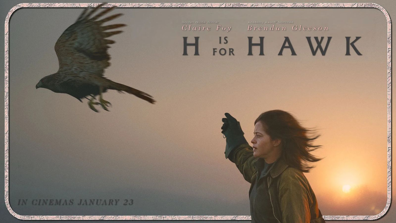 H IS FOR HAWK